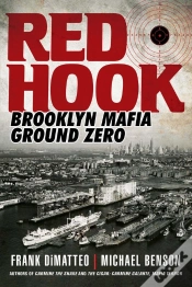 Capa do artigo Red Hook