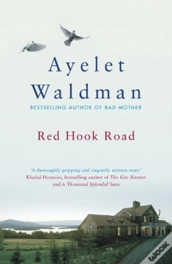 Capa do artigo Red Hook Road