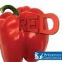 Red - Preview