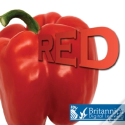 Capa do artigo Red