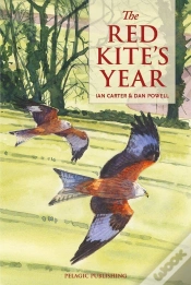 Capa do artigo Red Kite