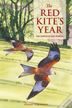 Capa do artigo Red Kite'S Year