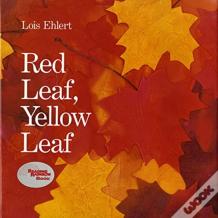 Red Leaf, Yellow Leaf