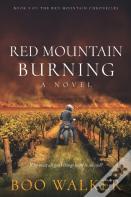 Red Mountain Burning