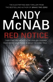 Capa do artigo Red Notice