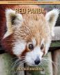 Red Panda - Preview