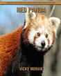 Red Panda - Preview