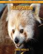 Red Panda - Preview