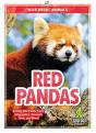 Red Pandas - Preview