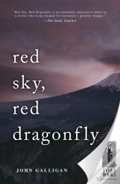 Capa do artigo Red Sky, Red Dragonfly