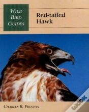 Capa do artigo Red-Tailed Hawk