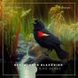 Red-Winged Blackbird And Other Bird Songs - Preview