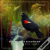 Capa do artigo Red-Winged Blackbird And Other Bird Songs