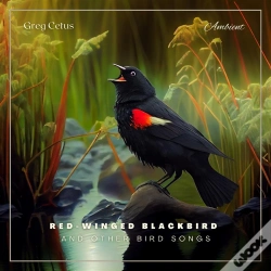 Capa do artigo Red-Winged Blackbird And Other Bird Songs