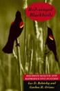 Red-Winged Blackbirds - Preview