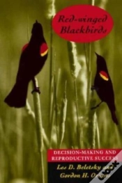 Capa do artigo Red-Winged Blackbirds