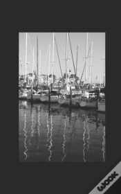 Capa do artigo Redcliff Bay
