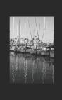 Redcliff Bay - Preview