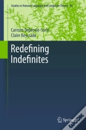 Redefining Indefinites