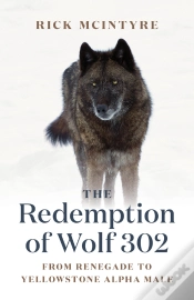 Capa do artigo Redemption Of Wolf 302