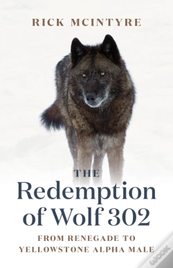 Capa do artigo Redemption Of Wolf 302