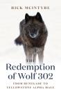 Redemption Of Wolf 302 - Preview