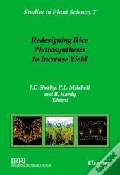 Redesigning Rice Photosynthesis To Increase Yield
