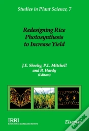 Capa do artigo Redesigning Rice Photosynthesis To Increase Yield