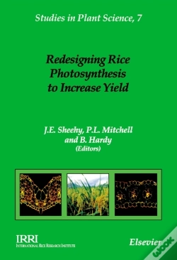 Capa do artigo Redesigning Rice Photosynthesis To Increase Yield