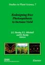 Redesigning Rice Photosynthesis To Increase Yield - Preview