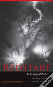 Capa do artigo Redstart
