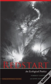 Capa do artigo Redstart