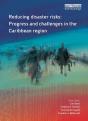 Reducing Disaster Risks - Preview
