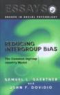 Reducing Intergroup Bias - Preview