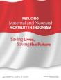 Reducing Maternal And Neonatal Mortality In Indonesia - Preview
