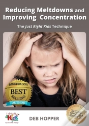 Capa do artigo Reducing Meltdowns And Improving Concentration