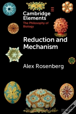Capa do artigo Reduction And Mechanism