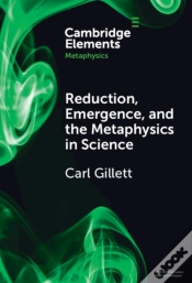 Capa do artigo Reduction, Emergence And The Metaphysics In Science