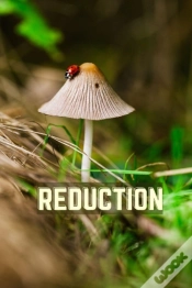 Capa do artigo Reduction