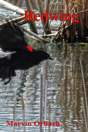 Redwing - Preview