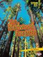 Redwood Forests - Preview