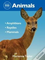 Capa do artigo Reed Mini Guide: Animals