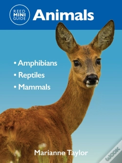 Capa do artigo Reed Mini Guide: Animals