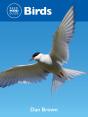 Reed Mini Guide: Birds - Preview