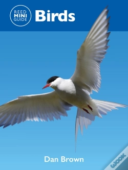 Capa do artigo Reed Mini Guide: Birds