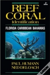 Capa do artigo Reef Coral Identification