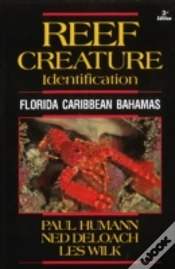 Capa do artigo Reef Creature Identification
