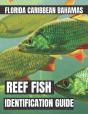 Reef Fish Identification Guide - Preview