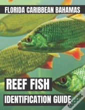 Reef Fish Identification Guide