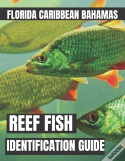 Capa do artigo Reef Fish Identification Guide